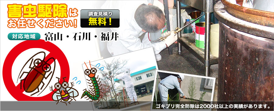 害虫駆除はお任せください