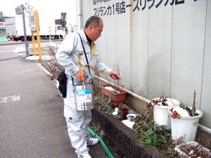 屋外害虫　駆除